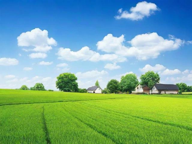 农村淘宝店铺关闭指南，全面解析关闭流程及注意事项