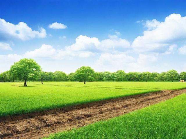 申请养殖补贴的步骤与注意事项