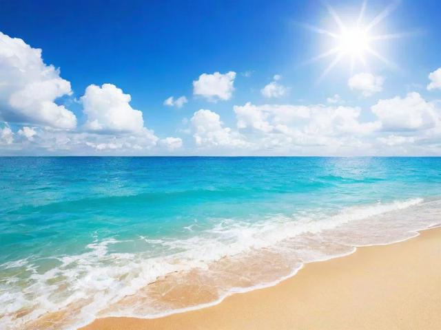 周末免费流量大放送，轻松领取攻略