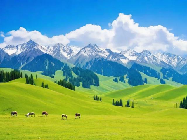 如何顺利申请新疆创业补贴？