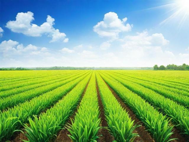 农业合作社补贴申请指南