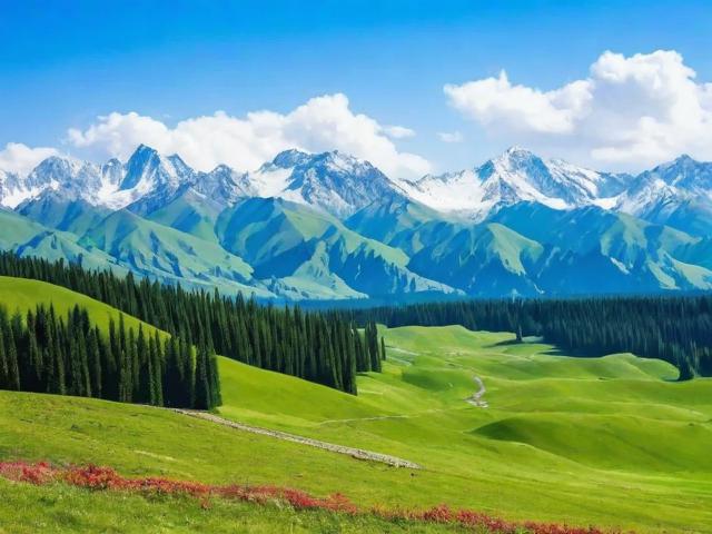 新疆证书补贴申请攻略，权威指南