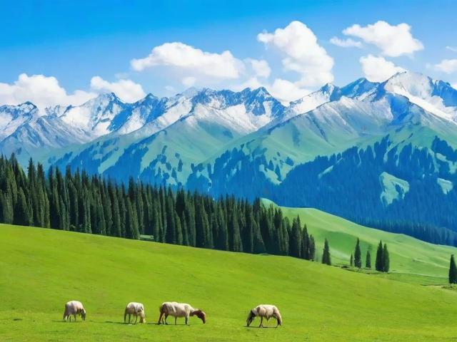 新疆技能补贴申请流程指南