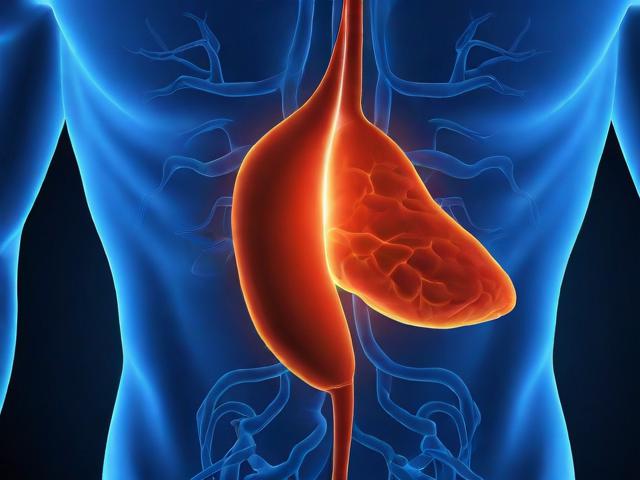 主动脉瓣关闭不全的诊疗策略，从诊断到治疗的多维度解析