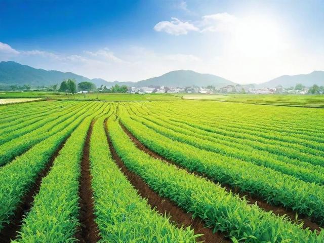 如何申请水产养殖补贴？你需要知道的全部信息