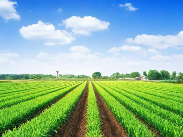 农业项目补贴申请表的填写指南