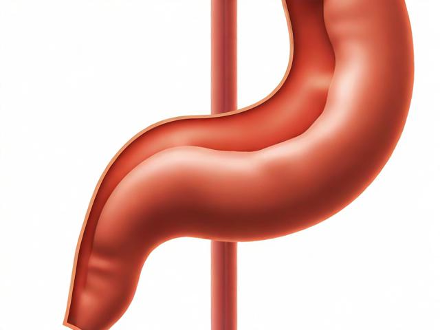 二尖瓣关闭不全，全面解析治疗方法及康复策略