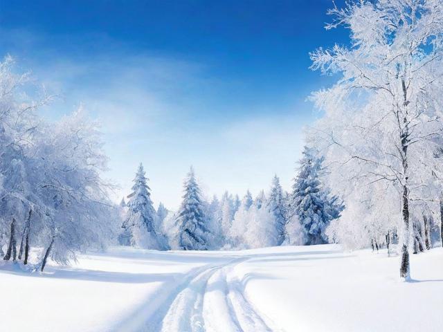 冬季补贴申请书模板及撰写指南