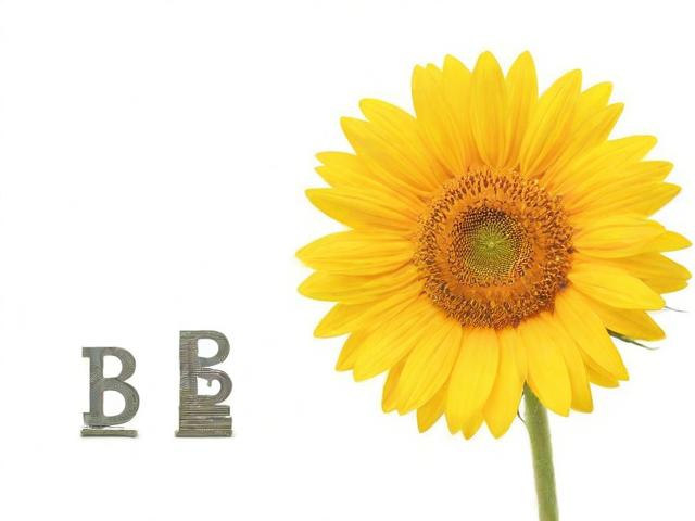 轻松操作，教你如何关闭安逸花账号，告别财务负担