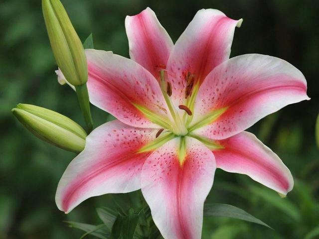 百合账户关闭指南，轻松操作，安全退出