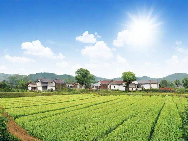 土地申请补贴—实现农村经济发展的重要途径