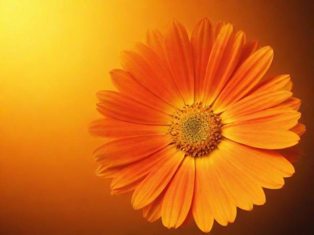 如何关闭花呗，轻松掌握操作步骤，保护个人财务安全