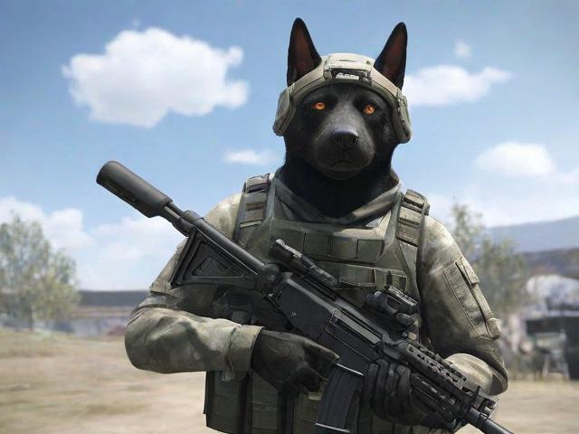 全民突击宠物关闭攻略，轻松告别陪伴，回归宁静游戏之旅