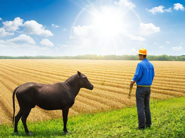 养殖者如何申请补贴