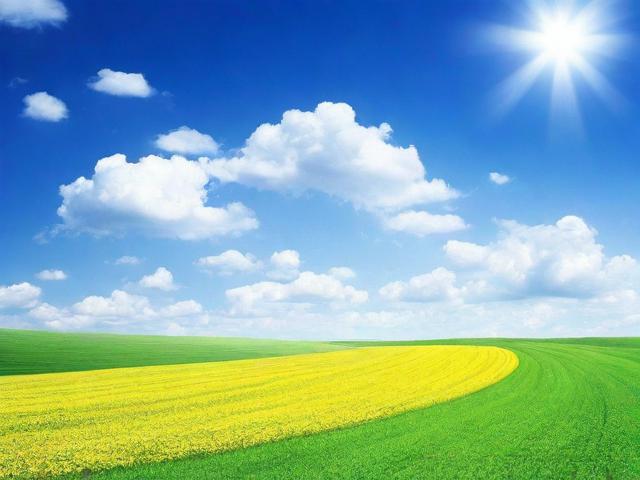 如何关闭白条，详细步骤与注意事项