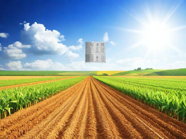 农业补贴申请书模板