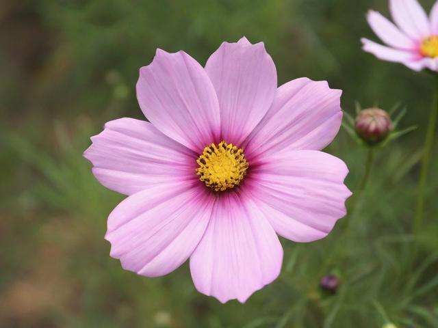 去哪儿借趣花关闭指南，轻松操作，告别花呗式借款乐趣