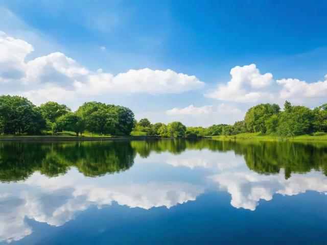 轻松掌握技巧，教你如何关闭群消息，告别打扰，享受宁静