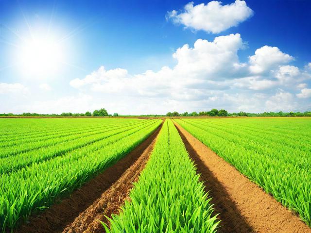 如何申请农业补贴