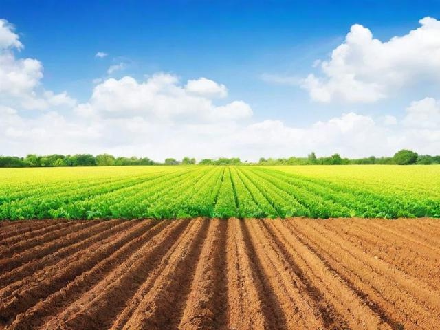 承包土地如何申请补贴？