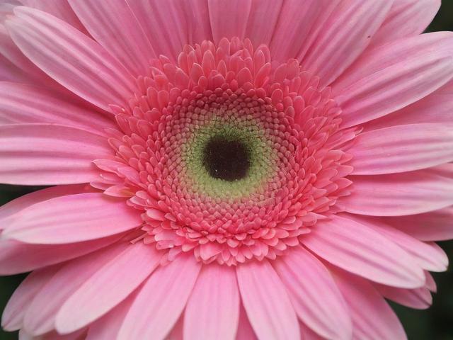 安逸花APP关闭指南，轻松解决账户注销问题