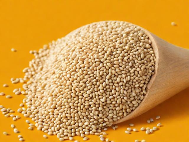 芝麻信用关闭教程，轻松三步，解除你的信用束缚