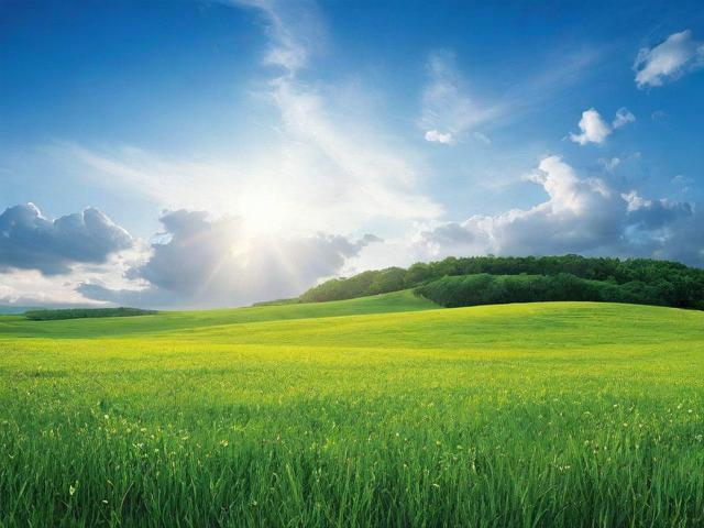 轻松关闭微博推送，让你的手机生活更宁静