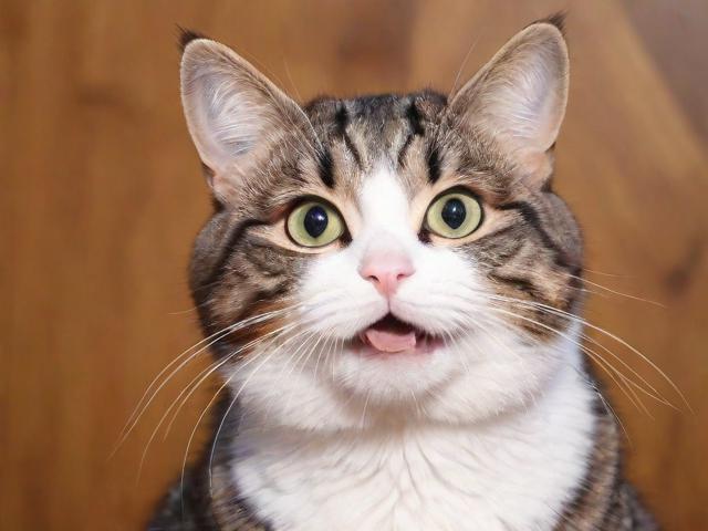 如何轻松领取咪咕视频流量？详细教程带你玩转流量福利！