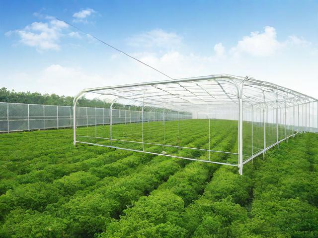 探讨大棚补贴的申请与使用