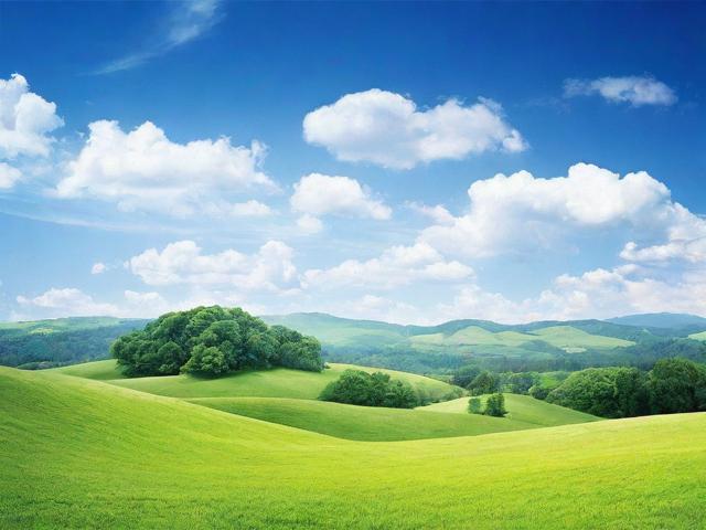 如何轻松关闭携程行程支付，操作指南及注意事项