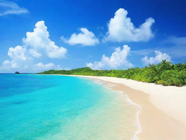 南沙人才补贴申请流程详解