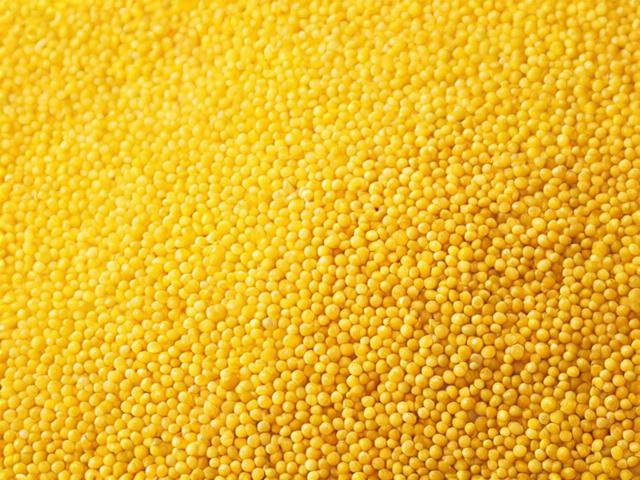 小米金融关闭指南，轻松操作，安全退出