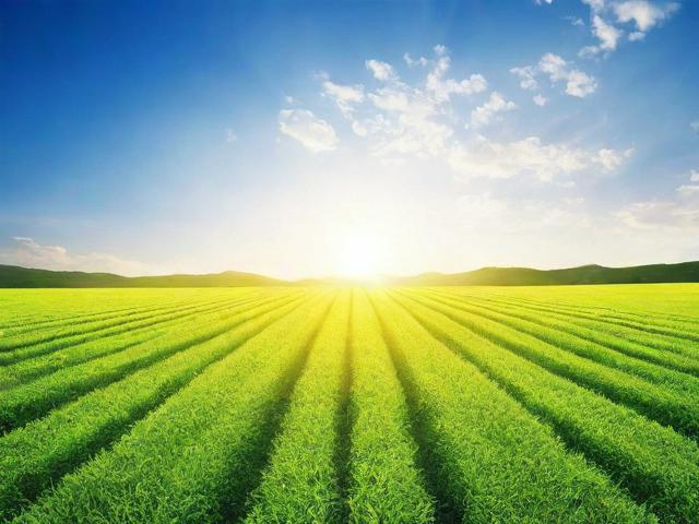 微信中拍一拍功能关闭教程，告别打扰，回归宁静